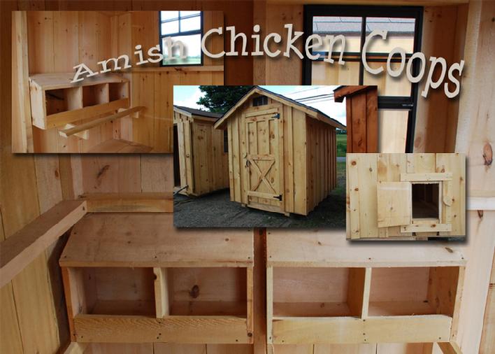 Amish Chicken Coop